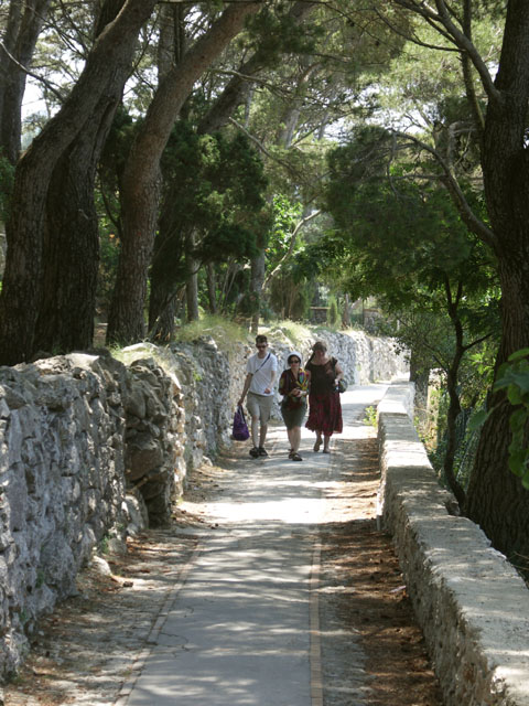 0591-Capri-path