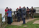 4540-Bempton-Birders.jpg